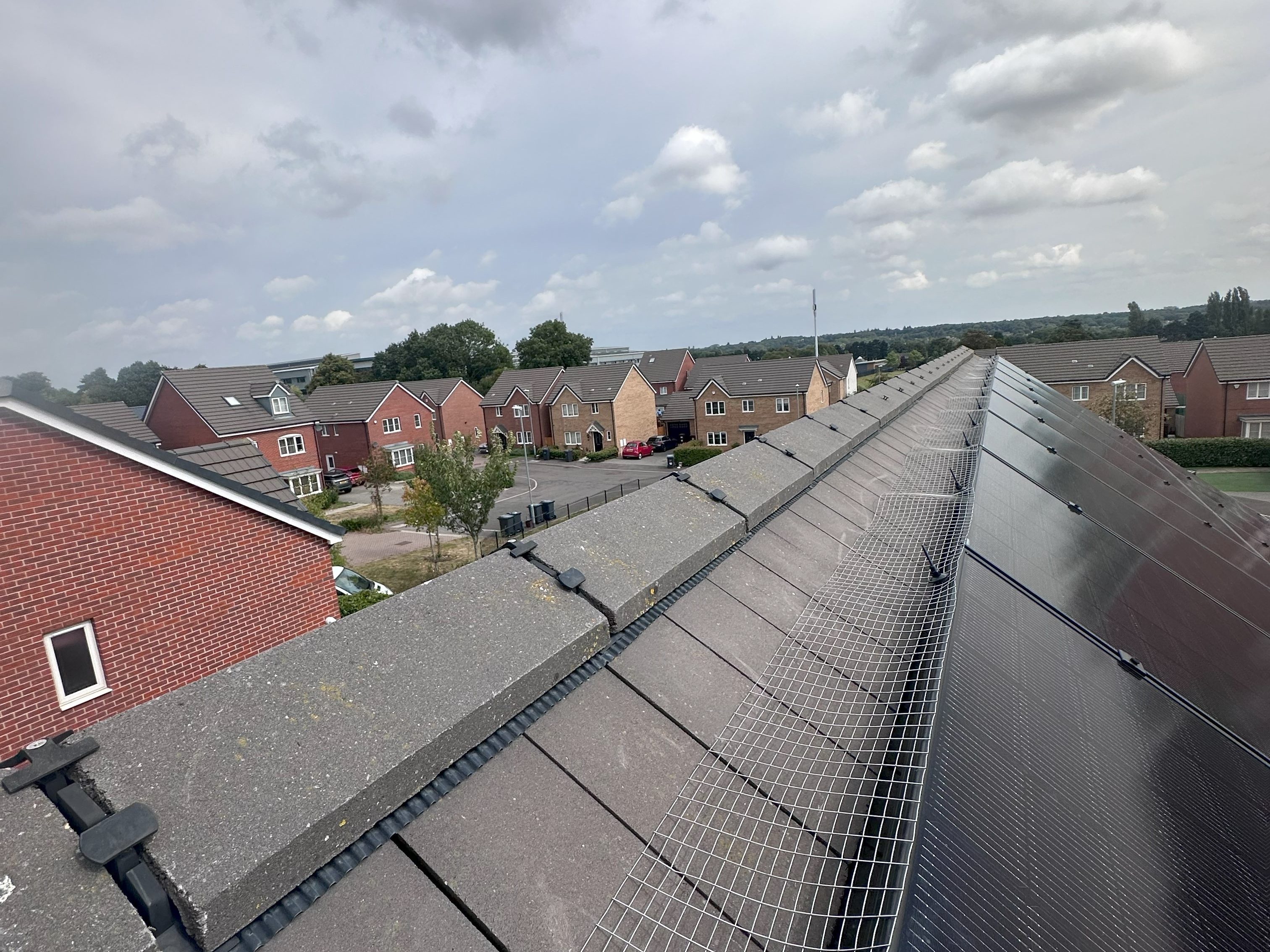 Solar panels pigeon guard mesh instalation